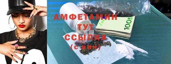 шишки Богородицк