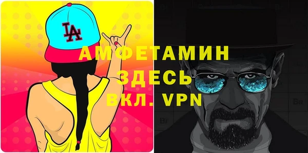 шишки Богородицк