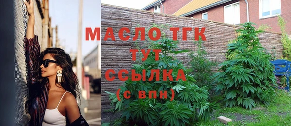 прущий лед Богданович