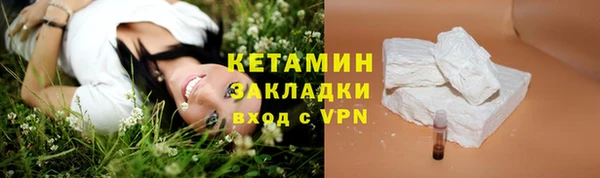 шишки Богородицк
