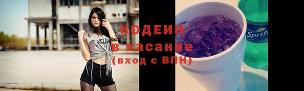 шишки Богородицк
