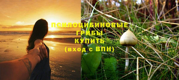 стаф Орехово-Зуево