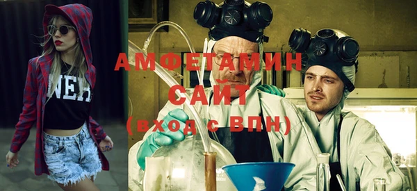 шишки Богородицк