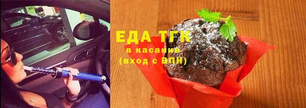 прущий лед Богданович