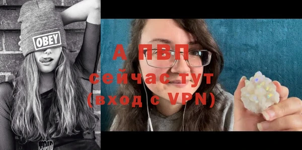 прущий лед Богданович