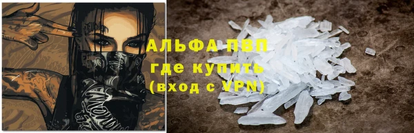 прущий лед Богданович
