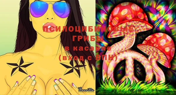 шишки Богородицк