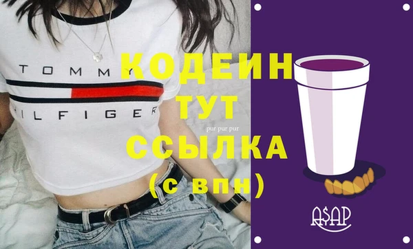 шишки Богородицк
