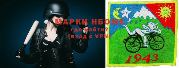 прущий лед Богданович
