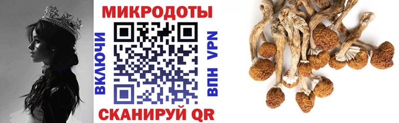 Галлюциногенные грибы ЛСД Горнозаводск