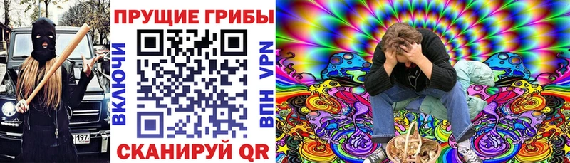 Галлюциногенные грибы Psilocybe  Горнозаводск 